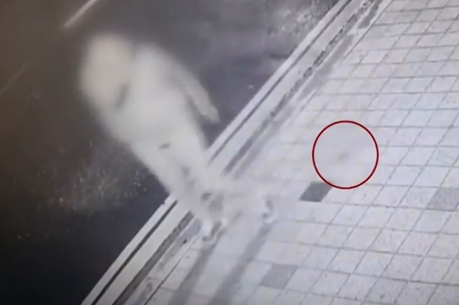 대변을 버리고 사라지는 한 남성의 모습이 CCTV에 포착됐다. YTN 캡처