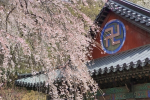 사찰 스님도 업무상 지휘·감독받았다면 근로자