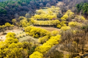 경기도, 포천 산정호수·김포 하동천 생태관광거점 신규 선정
