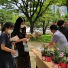 “우리 나무 받아가세요”…잇단 산불에 ‘내 나무 갖기 캠페인’