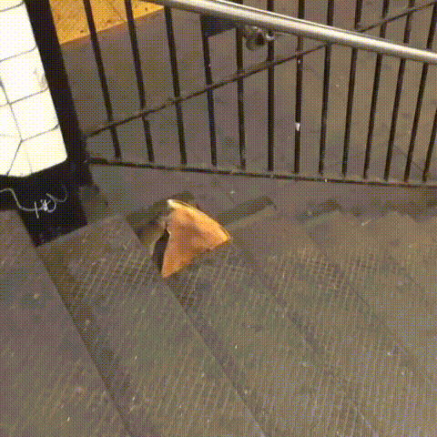 2015년 뉴욕의 한 지하철역 계단에서 쥐 한 마리가 자기 몸집보다 큰 피자 조각을 옮기는 영상이 공개되어 화제가 됐다. 유튜브 ‘Matt Little’ 캡처