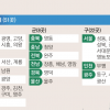 [단독] 서울 자치구 16곳, 광주 5곳 ‘SA등급’… 부산·대구는 없어