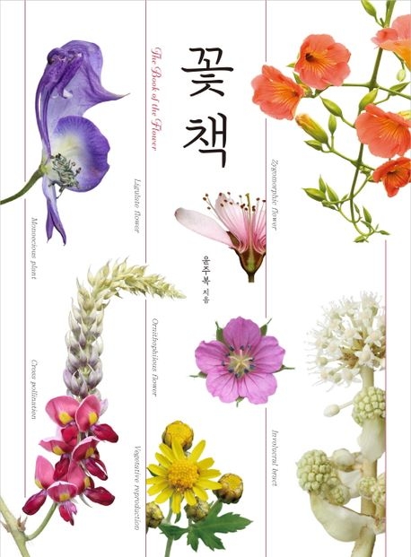 ‘꽃 책’(진선북스)