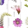 이른 낙화 달래줄 식물도감의 위로