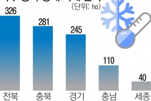 까맣게 얼어버린 사과·배꽃…까맣게 타들어간 과수농가