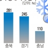 까맣게 얼어버린 사과·배꽃…까맣게 타들어간 과수농가