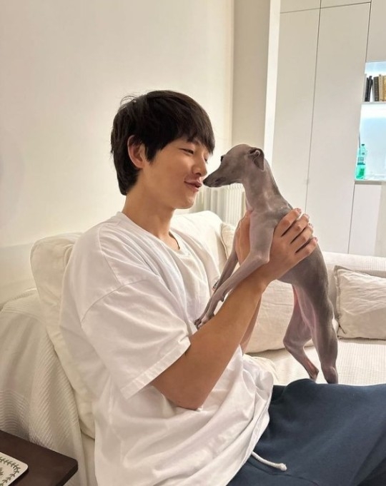 송중기 인스타그램