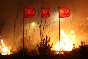 고성 산불 피해보상 첫 판결, 법원 “한전 87억 지급하라”