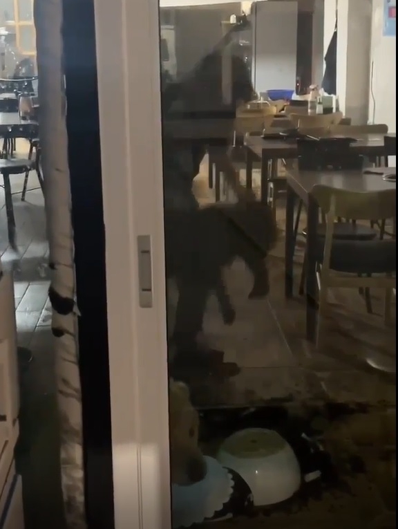 서귀포시 한 식당에서 남자가 강아지를 들고 바닥에 내리치려고 하고 있다. 그 앞에는 또다른 강아지가 이를 지켜보고 있다. 동물보호단체 케어 제공 영상 캡처.