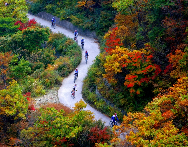 MTB 동우회 회원들이 지난해 가을 오색으로 물든 울주군 간월산을 달리고 있다. 울주군 제공