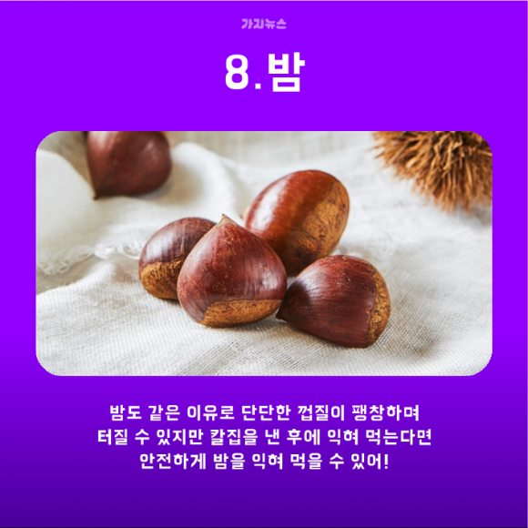 가지뉴스