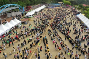 500년 역사 품은 당진 기지시 줄다리기 축제