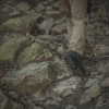 사진 찍는데 무너진 바위…40대 등산객, 설악산서 추락해 숨졌다