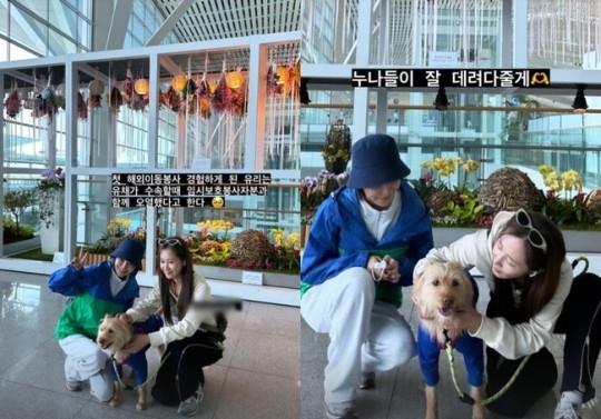 수영 인스타그램