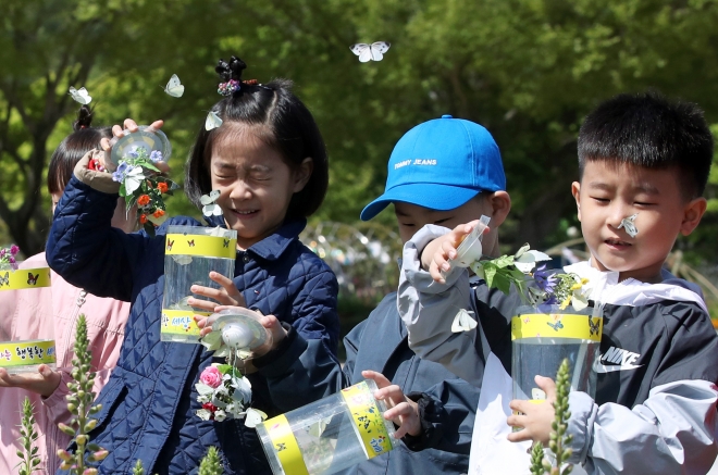 나비야 잘 날아가렴… 함평나비축제 오늘 개막