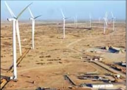 DL에너지가 보유한 파키스탄 메트로 풍력 발전 단지 전경. DL에너지 제공