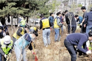 용산 드래곤즈, 식목일 맞이 나무 심기