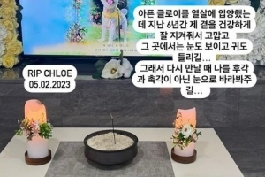 “父서세원 발인 후…” 서동주, 연이은 안타까운 소식 전했다