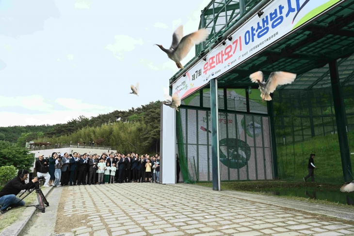 4일 경남 창녕군 우포따오기복원센터에서 경남도와 환경부, 문화재청, 창녕군이 우포 따오기 야생 방사 행사를 열어 따오기 30마리를 날려 보내고 있다. 창녕군 제공