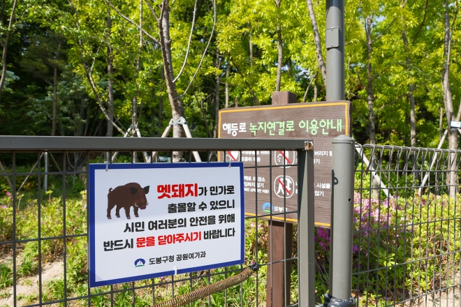 서울 도봉구가 펜스에 설치한 멧돼지 출몰 지역 안내 표지판. 도봉구 제공