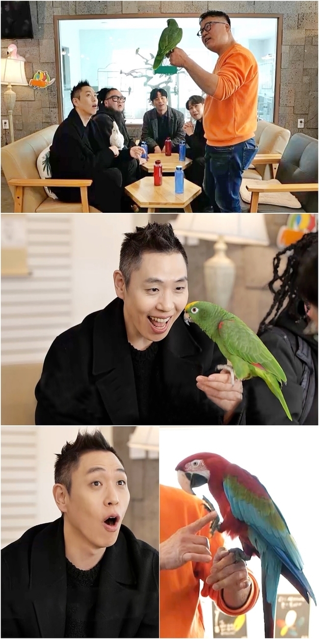 KBS 2TV ‘사장님 귀는 당나귀 귀’