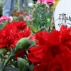 “부모님, 더 자주 찾아뵐게요”…한 달에 3.3회 만나고 일주일에 2.2회 통화