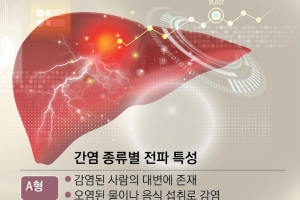 한국인 간암 원인 80% 차지하는 간염… 합병증을 조심하라