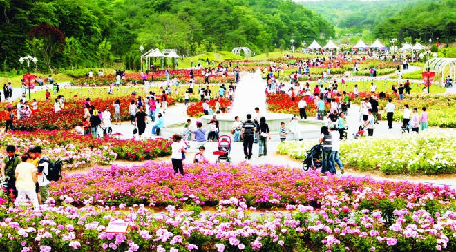 시민들이 지난해 울산대공원 장미축제장을 찾아 봄을 만끽하고 있다.