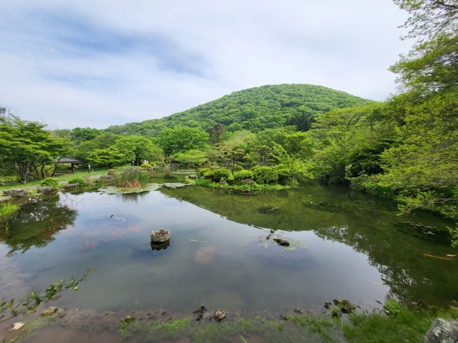 절물자연휴양림 연못에서 바라본 절물오름의 모습. 제주 강동삼 기자
