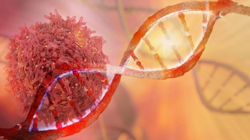 국내 과학자들이 정크 DNA 중 하나가 노화와 암 유발의 핵심 원인이라는 사실을 밝혀냈다.