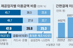 애플發 간편결제 지각변동…유료화·해외결제·오프라인