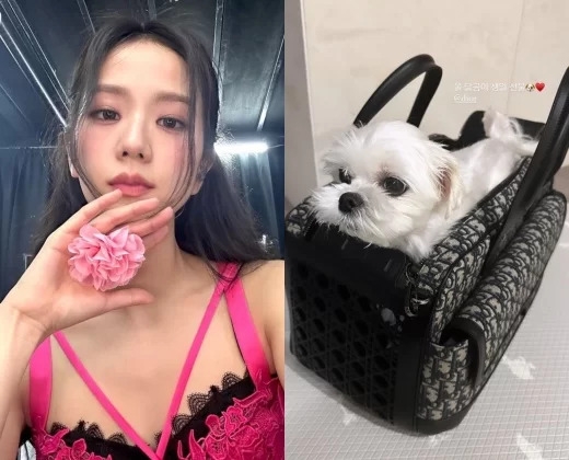 그룹 블랙핑크 멤버 지수가 반려견의 생일 선물을 자랑했다. SNS 캡처