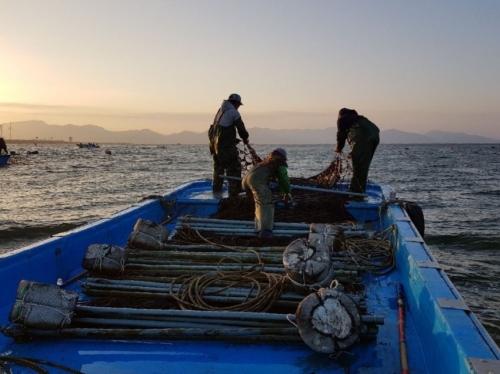 어업활동 사진. 군산시 제공