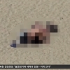 대낮 해변가에서…男女 40분간 대놓고 ‘애정행각’