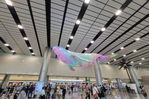 제주 온 내국인 관광객들, 3조원 넘게 카드 긁었다