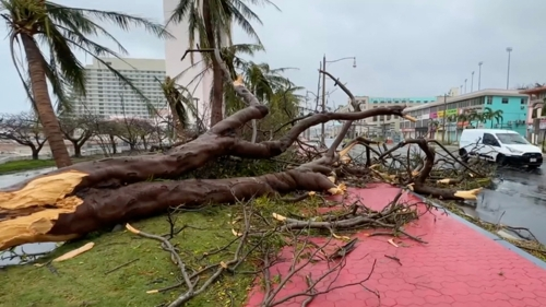4등급 ‘슈퍼 태풍’ 마와르가 태평양의 미국령 괌을 강타한 25일(현지시간) 나무들이 강풍에 꺾여 거리에 쓰러져 있다. 괌 당국은 이번 태풍으로 인한 인명 피해는 없으나 강풍과 폭우로 인한 단전·단수가 이어져 현지인과 관광객들이 큰 어려움을 겪고 있다고 전했다. 2023.05.26 투몬 만(미국) AFP=연합뉴스