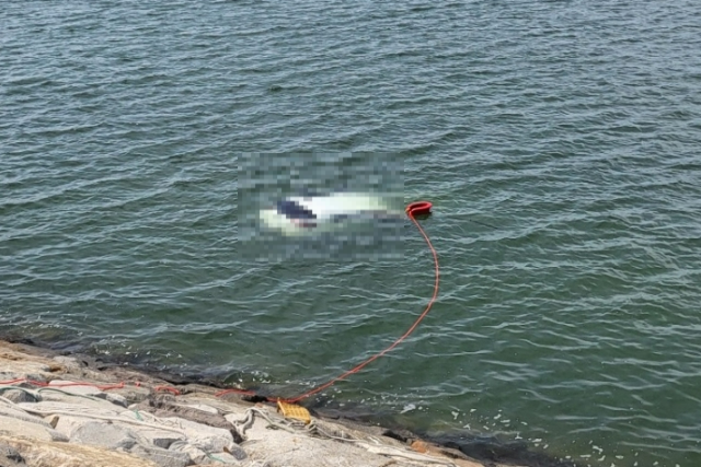 인천 송도 인근 바다에 추락한 SUV를 구조 중인 모습. 인천송도소방서 제공
