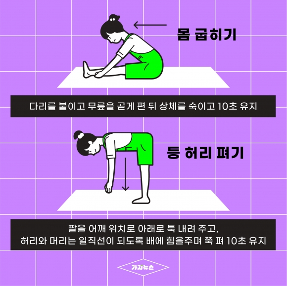 가지뉴스