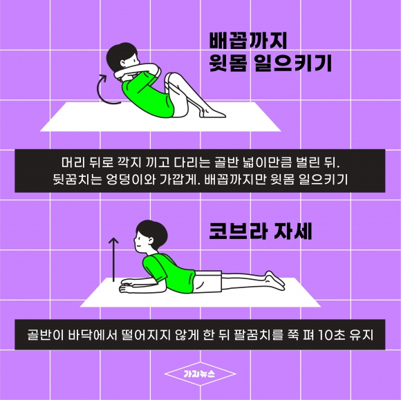 가지뉴스