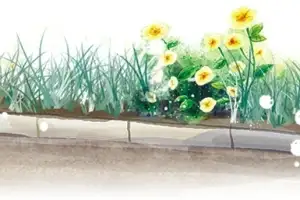 택배 차량과 안전