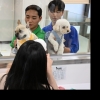 김포공항에 반려견 맡기고 여행 떠나요