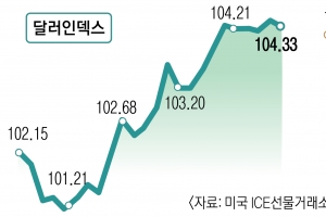 뛰는 달러… 꺾인 유가, 국내 물가 안정 희망가