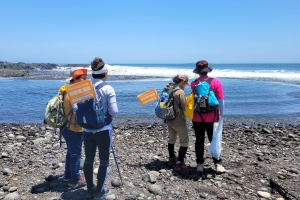 올레길 걸으멍, 쇠소깍서 발 담그멍, 정방폭포서 물 맞으멍