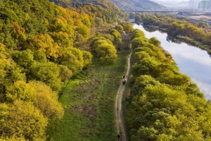 대전 ‘갑천’ 국가습지보호구역 됐다… ‘열섬 완화’ 연구도 할 듯