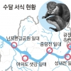 멸종위기 수달 15마리 서울 한강살이…서식지 살리고 하천 먹이사슬 지킨다