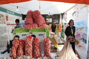 마늘값 폭락에… e쇼핑몰 ‘서귀포in정’ 농가 시름 달래준다