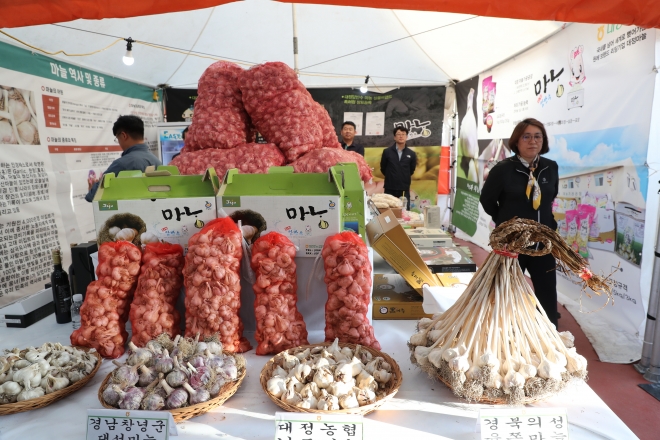 지난 2일 서귀포시 대정읍 하모체육공원에서 열린 2023년 대정암반수 마농박람회. 제주도 제공