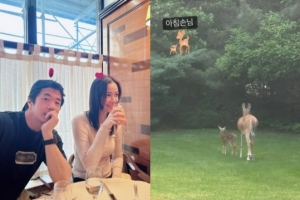 권상우♥손태영, 감탄 나오는 美집…사슴 나오는 ‘숲뷰’
