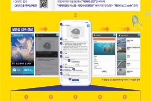 전남 여름 바다 불청객…해파리 신고해 주세요