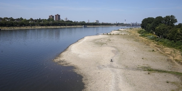 지난해 8월 라인강 수위가 낮아져 모래톱이 드러난 모습. 연합뉴스